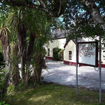 Mary'S Cottage Sneem Εξωτερικό φωτογραφία