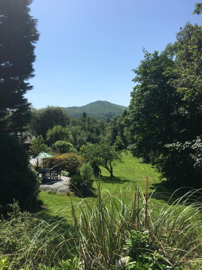 Mary'S Cottage Sneem Εξωτερικό φωτογραφία
